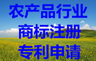 知識(shí)產(chǎn)權(quán)保護(hù)全攻略 從商標(biāo)查詢到版權(quán)代理的完整指南